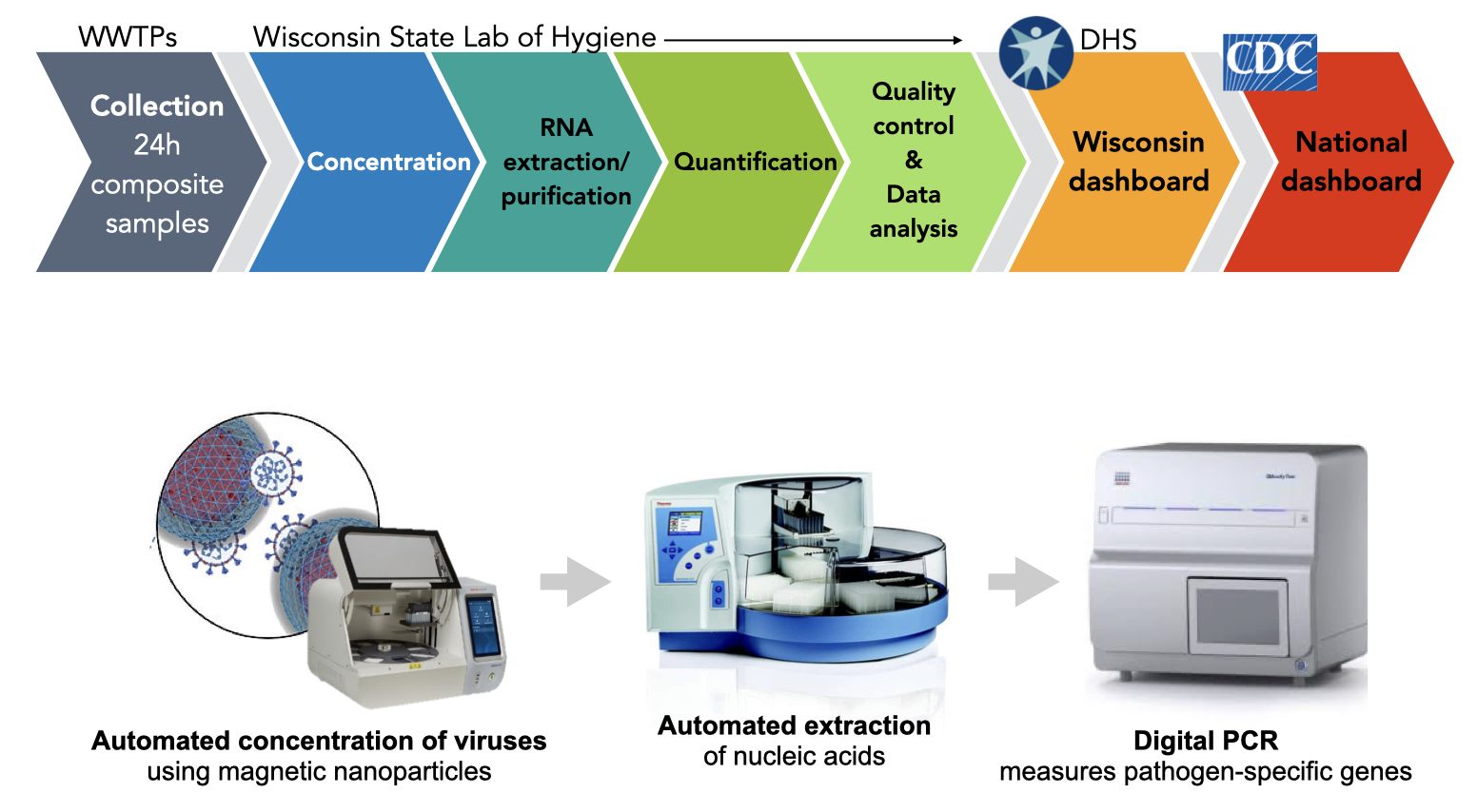 A diagram depicting an overview of the wastewater sample processing workflow, outlining key stages and who they are performed by (WWTF, WSLH, DHS, and CDC).