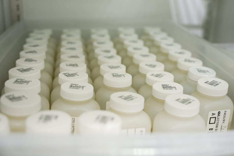 Wastewater sample bottles prepared for testing-Link to Influent Wastewater Sampling Protocol