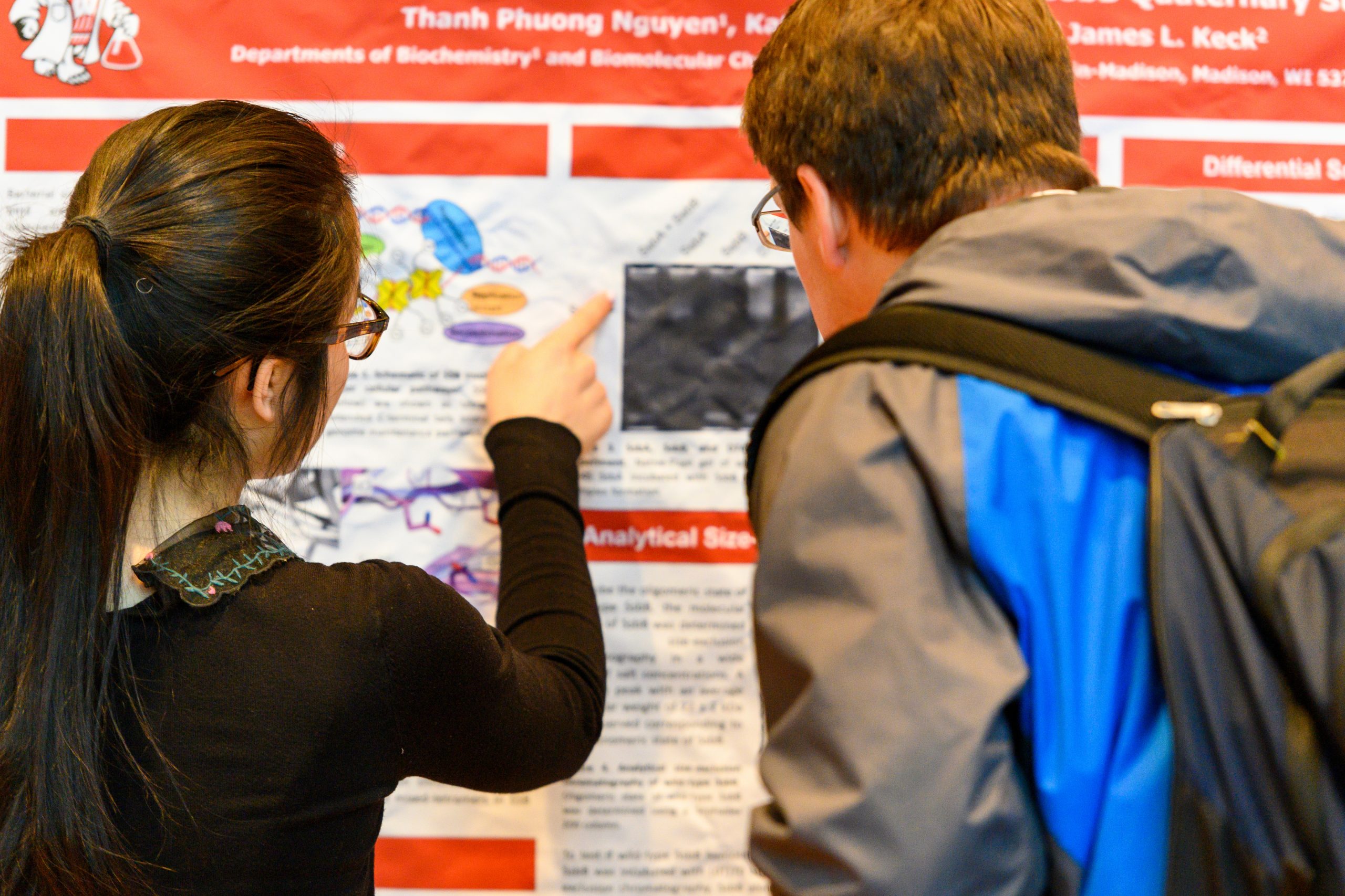 Man and woman looking at a scientific poster display-Link to Webinars & Presentations