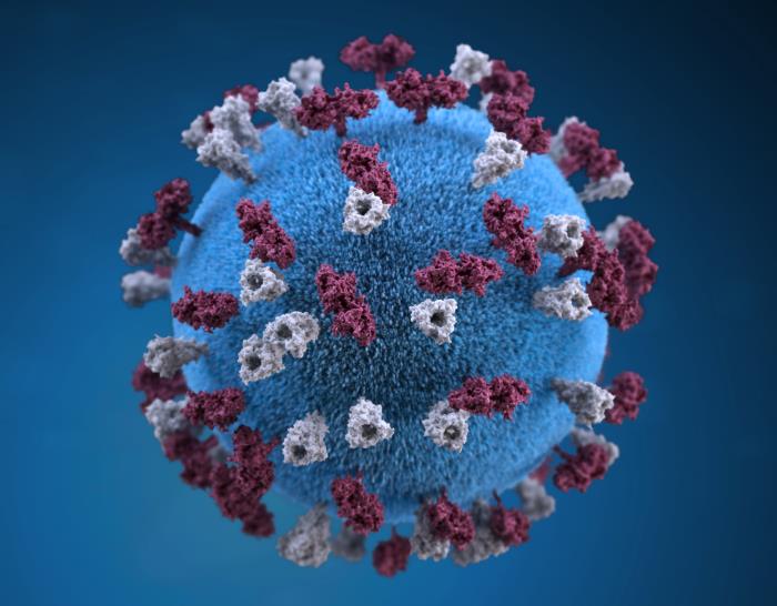 This illustration provides a 3D graphical representation of a spherical-shaped, measles virus particle that is studded with glycoprotein tubercles. Content provided and maintained by the US Centers for Disease Control and Prevention (CDC).